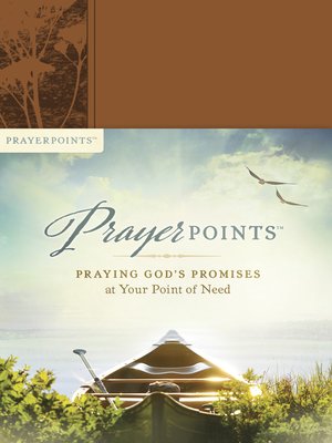 cover image of PrayerPoints